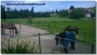 Ankunft von Jelmer im Emmental in der Schweiz